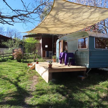 Cosy Cabane Montbrun-Bocage Eksteriør billede